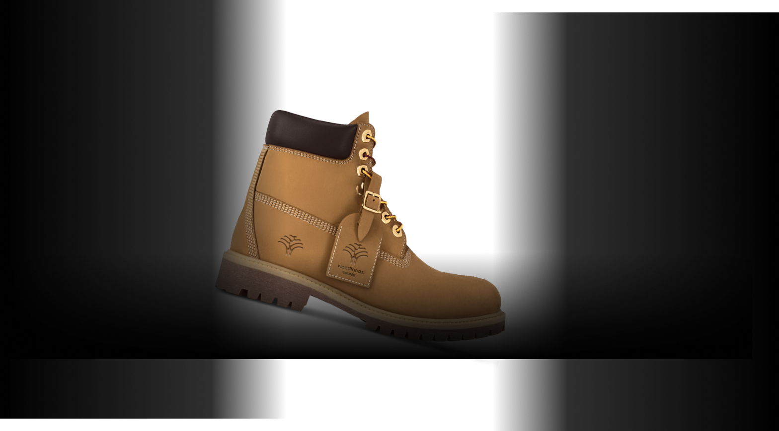Shoe